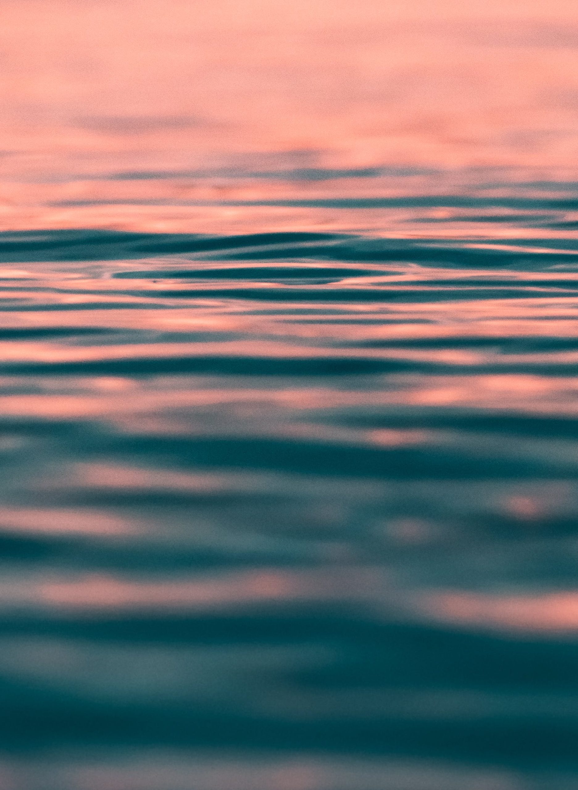 Physician in Boynton Beach, FL